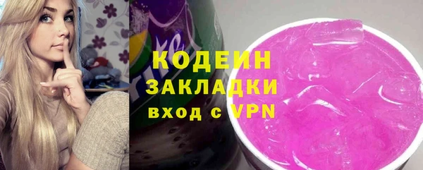 хмурый Гусев