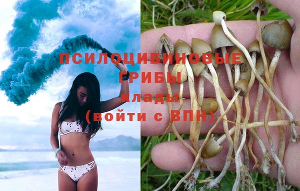 марихуана Гусиноозёрск
