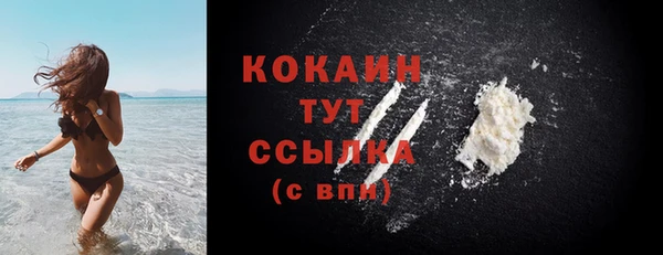 стафф Гусь-Хрустальный