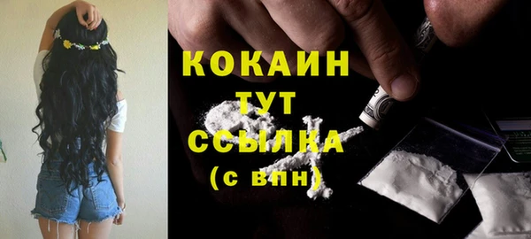 хмурый Гусев
