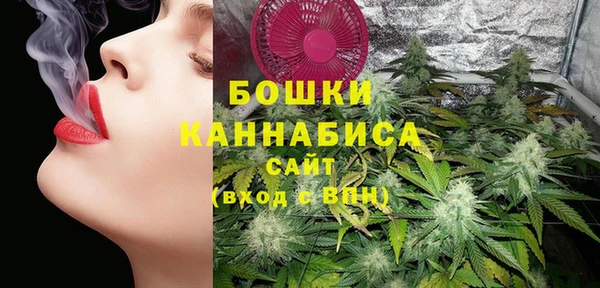стафф Гусь-Хрустальный
