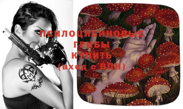 марихуана Гусиноозёрск