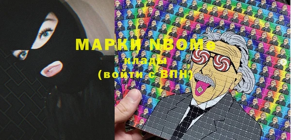 хмурый Гусев
