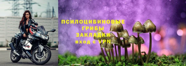 хмурый Гусев