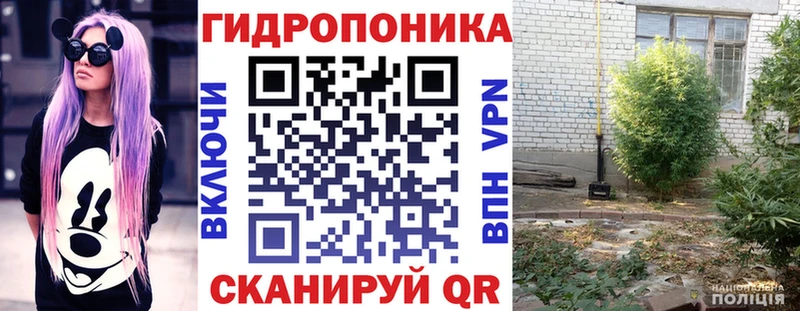 hydra ТОР  Новая Ладога  Каннабис VHQ 